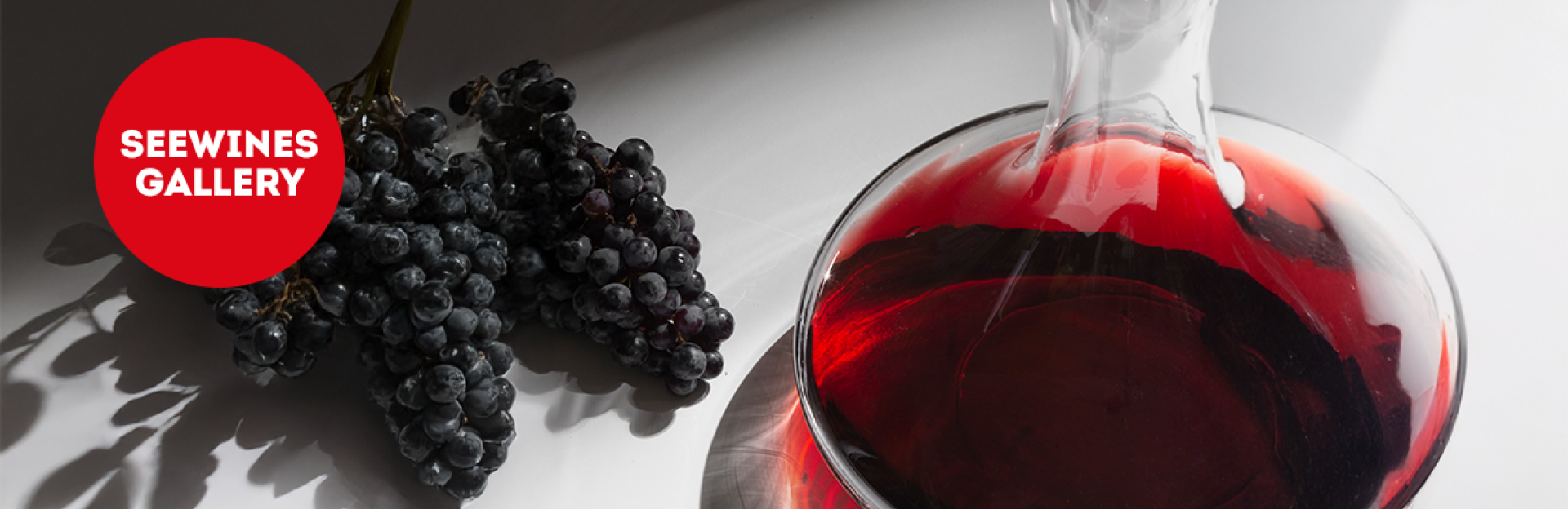 Дегустация в Галерия: Малбек - френска елегантност и аржентинска страст