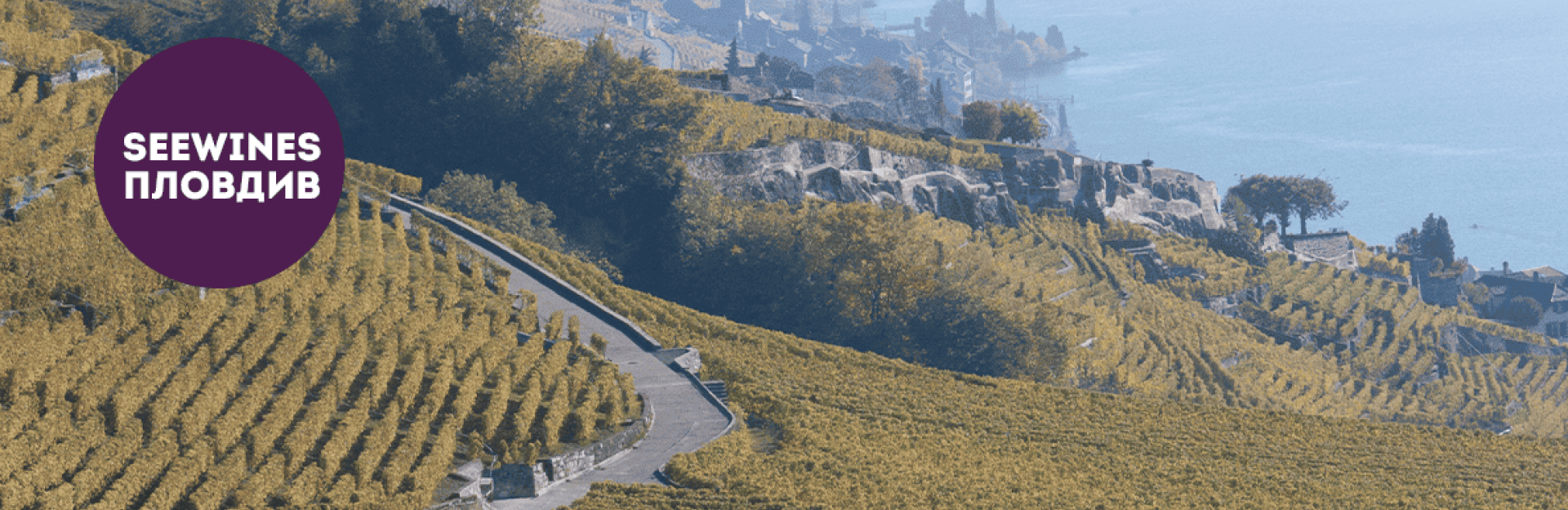 Дегустация в Пловдив: Средиземноморско изкушение: Вина от южните склонове на Италия