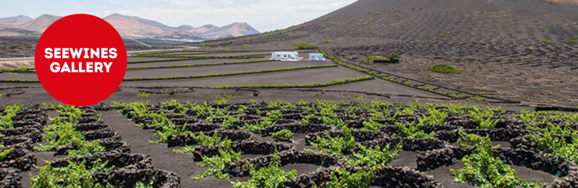 Дегустация в Галерия: Минерална елегантност