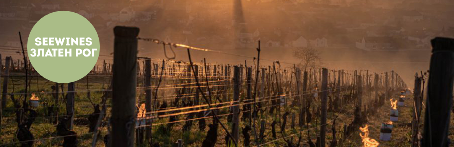 Дегустация в Златен рог: Италия: Класическите северни вина срещу автентичните южни вкусове