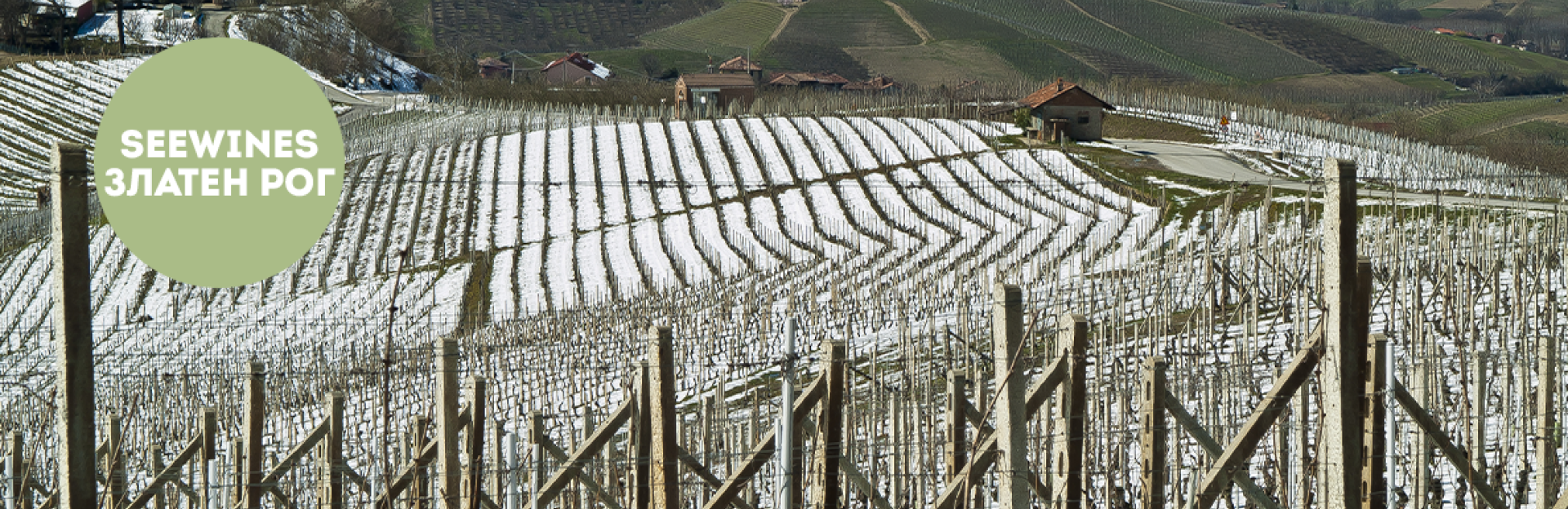 Дегустация в Златен рог: Сицилия – Земя на огън, страст и вечна традиция