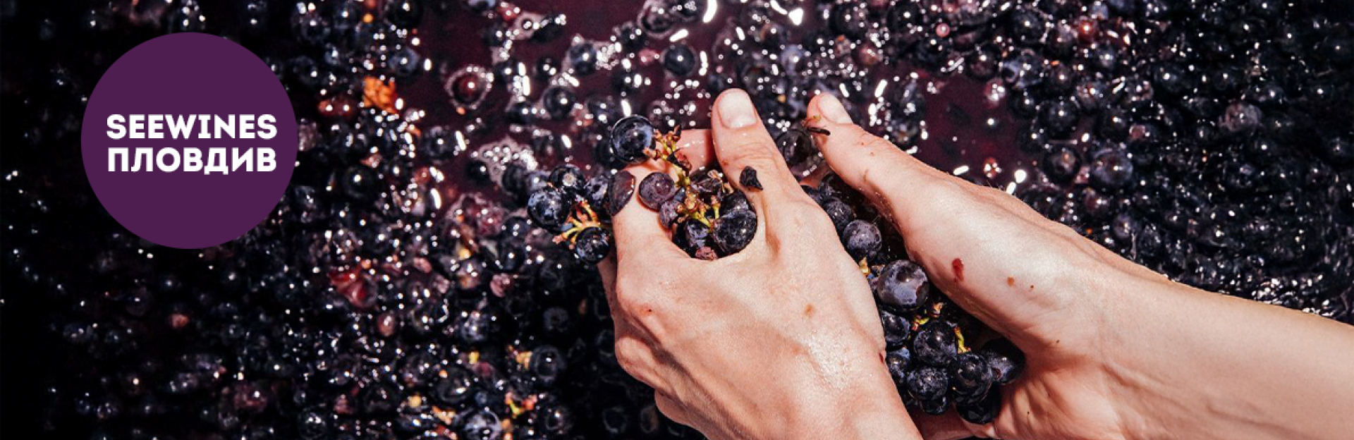 Дегустация в Пловдив: Rare Grape Night - вечер на не толкова познати сортове!