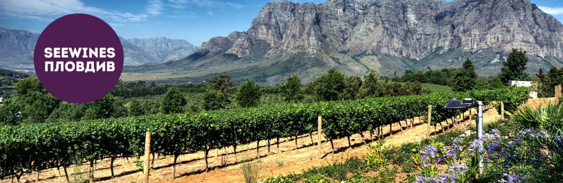 Дегустация в Пловдив: Запознанство с вината на Южна Африка