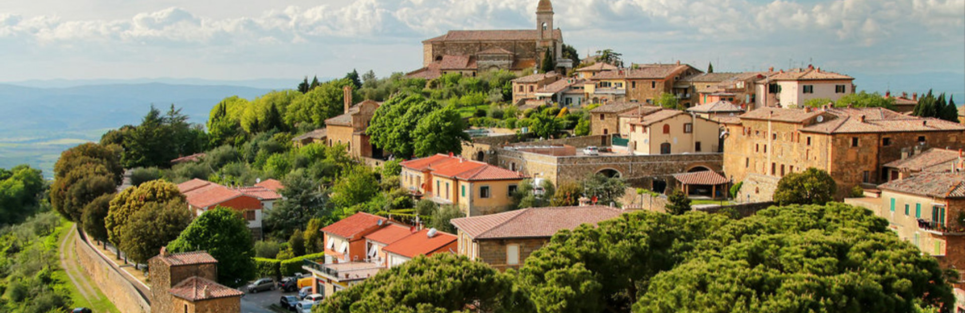 The King of Montalcino