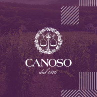 Canoso