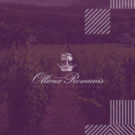 Château Ollieux Romanis