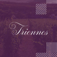 Domaine de Triennes