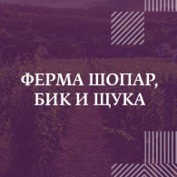 Шопар, бик и щука