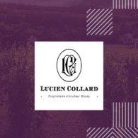Lucien Collard