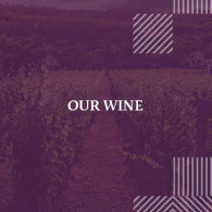 Our Wine