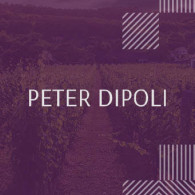 Dipoli