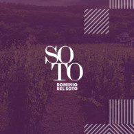 Domaine del Soto