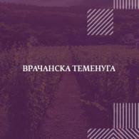Врачанска Теменуга