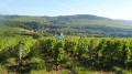 Domaine du Beauregard