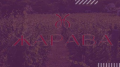 Жарава