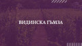 Видинска Гъмза