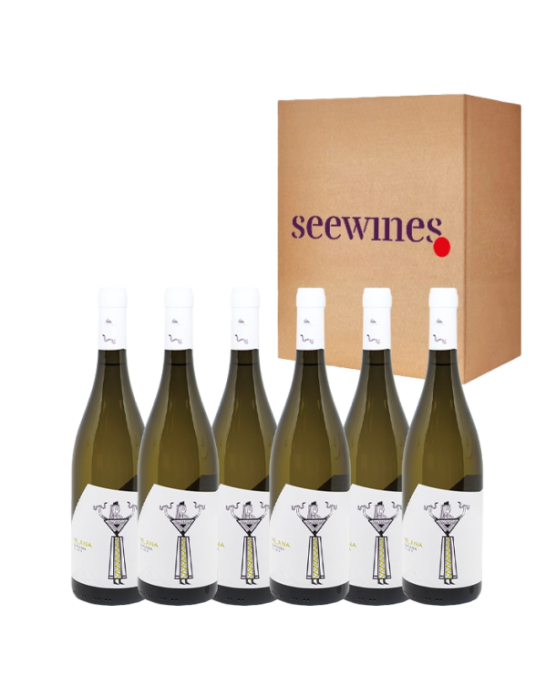 Pack 6 bottles Lyrarakis Vilana Queen