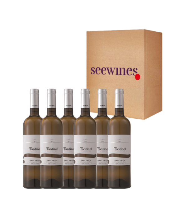 Pack 6 bottles Borgo Tesis Pinot Grigio Friuli