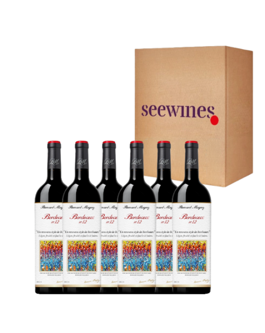 Pack 6 bottles Bordeaux 12 Rouge Bernard Magrez