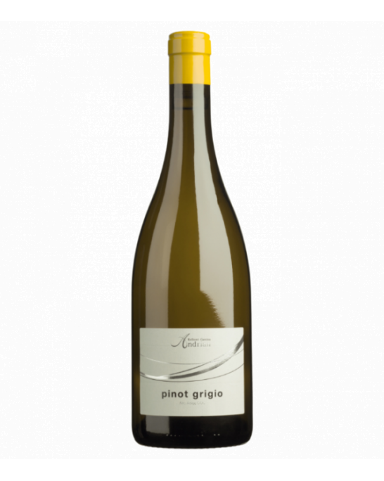 Pinot Grigio DOC, Cantina Andrian