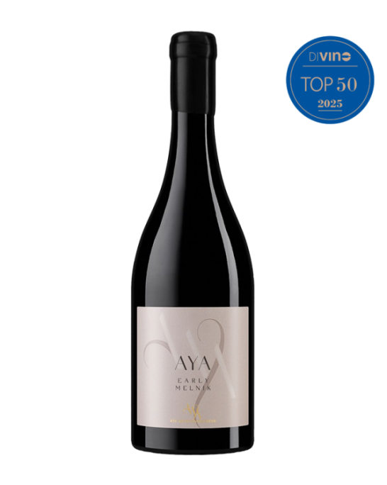 Айя Мелник 55