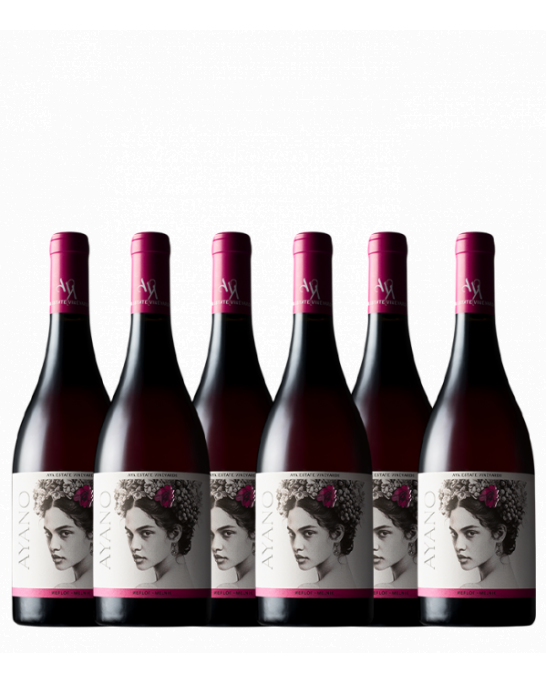 Pack of 6 bottles Ayano Merlot and Melnik