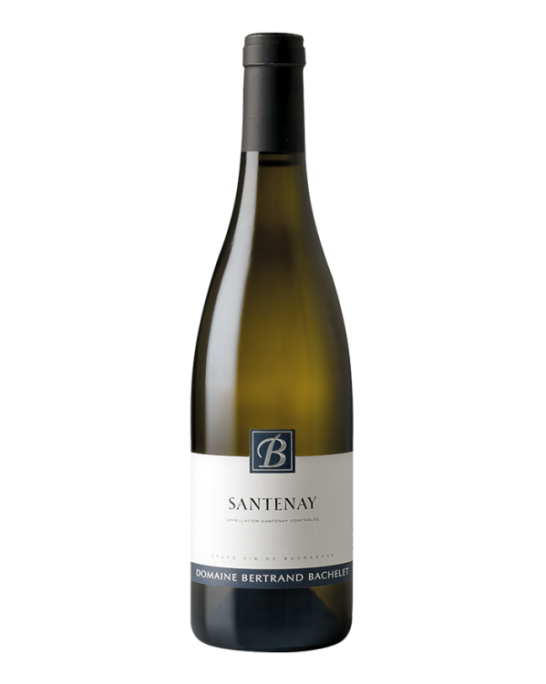 Santenay Blanc Bertrand Bachelet