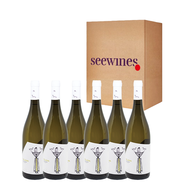 Pack 6 bottles Lyrarakis Vilana Queen