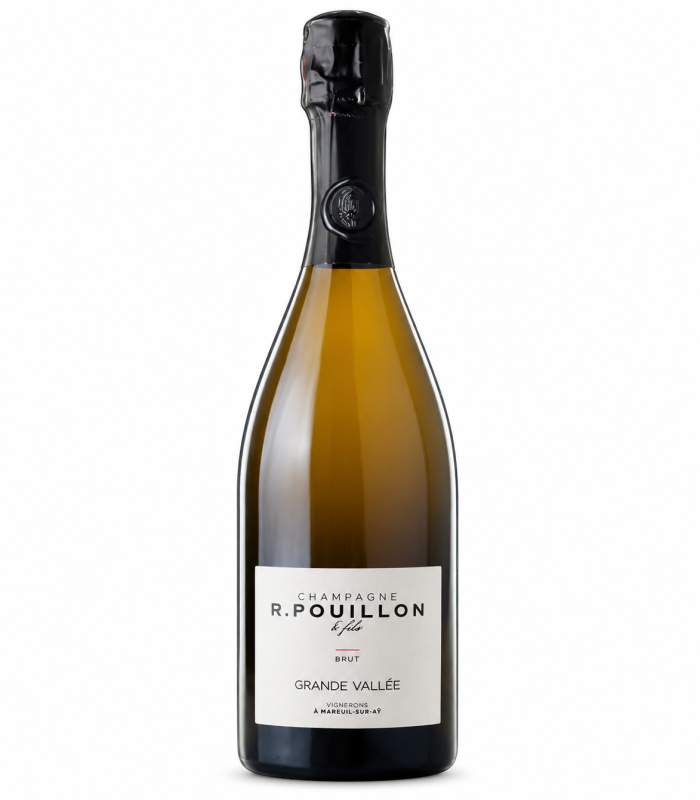 Champagne Puyon Grand Vallée Extra Brut NV Magnum