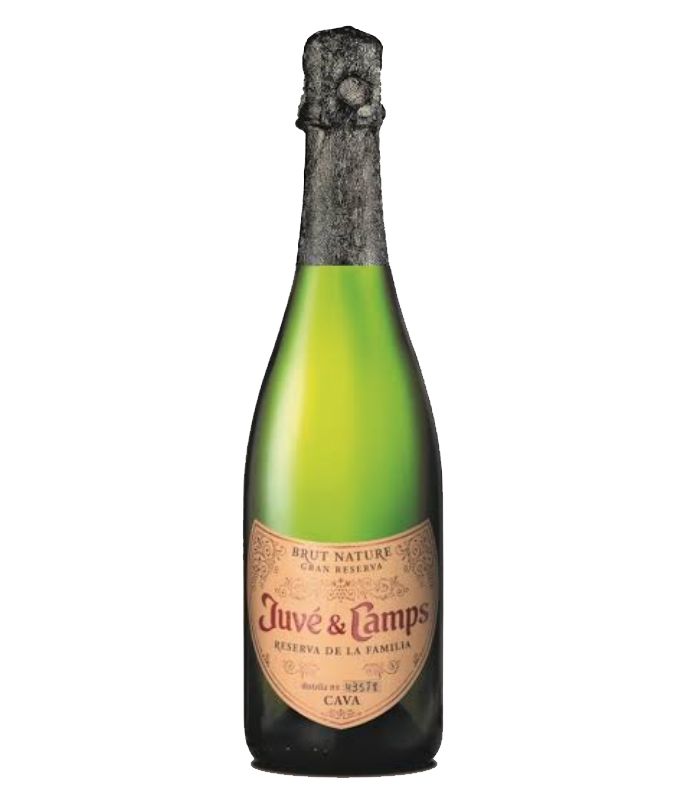 Juve & Camps Reserva Brut Nature Vintage