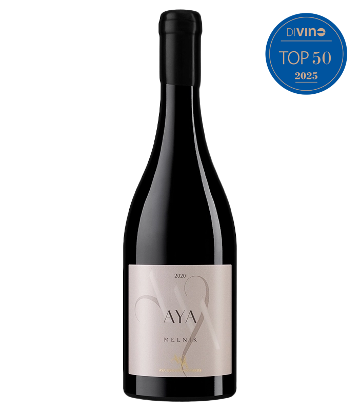 Айя Мелник 55