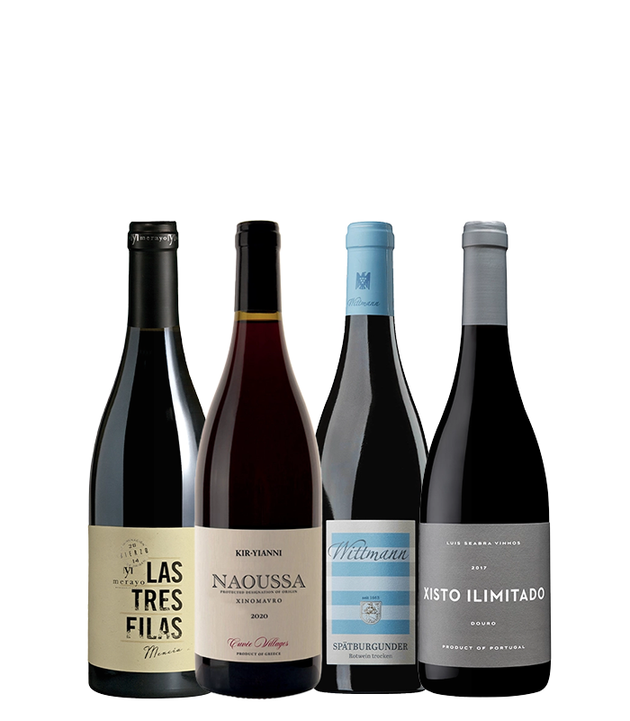 Red Wines for Summer Nights