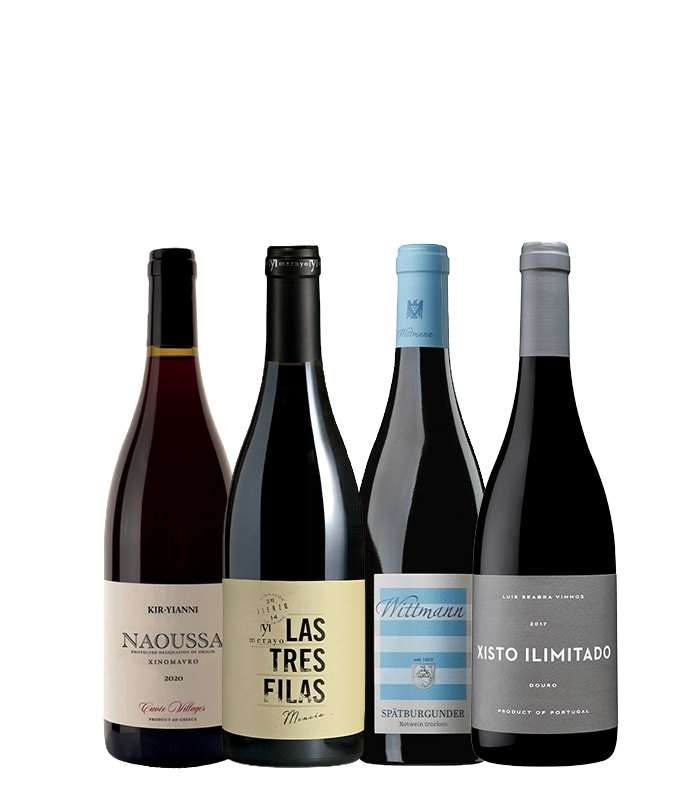 Red wines for warm evenings