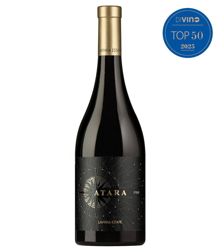 Атара Сира 2021 Лавиня