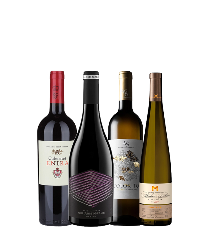 Favorite International