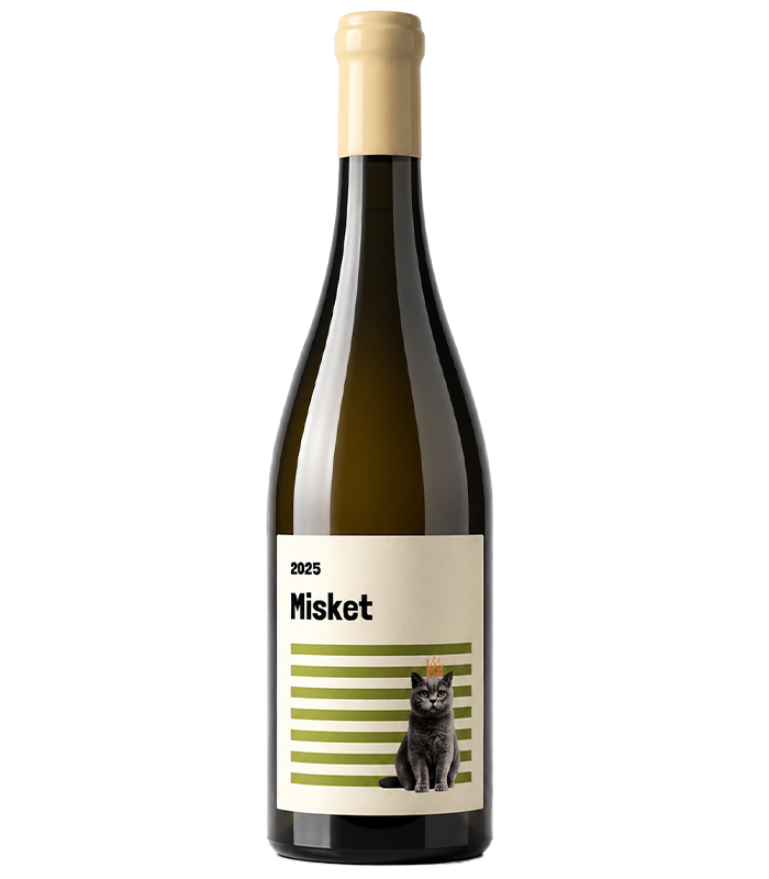 Misket Once Concept