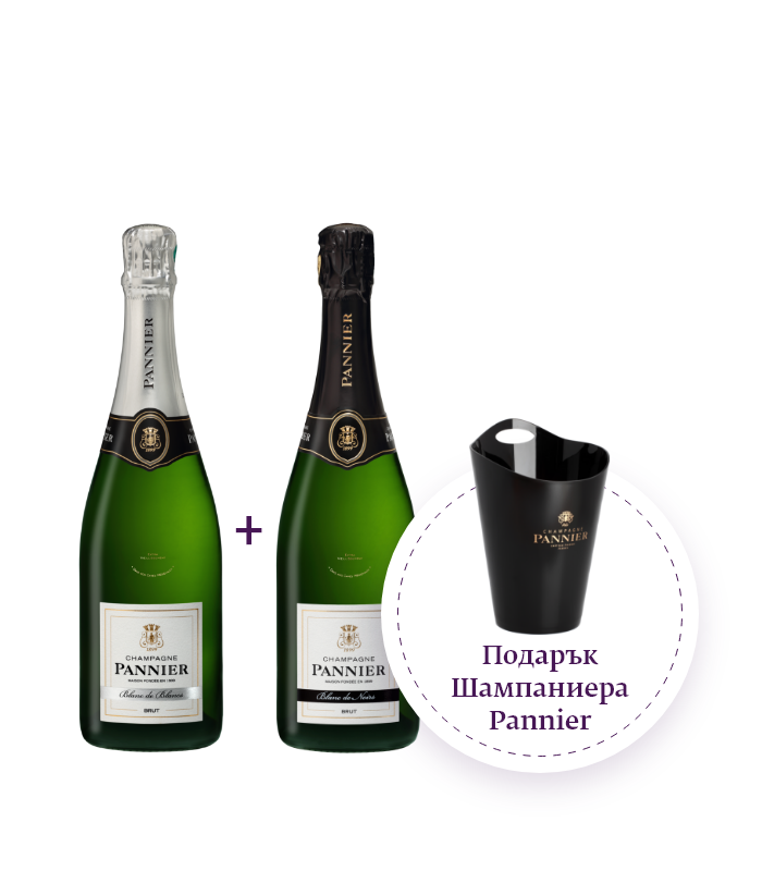Package 2 bottles of Pannier + gift Pannier champagne flute