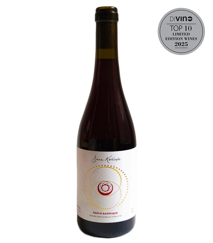 Памид Барик Вила Кътина