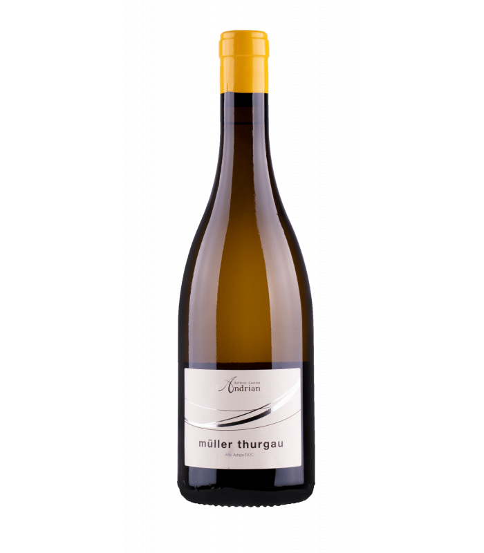 Müller Thurgau DOC 2019 Andrian