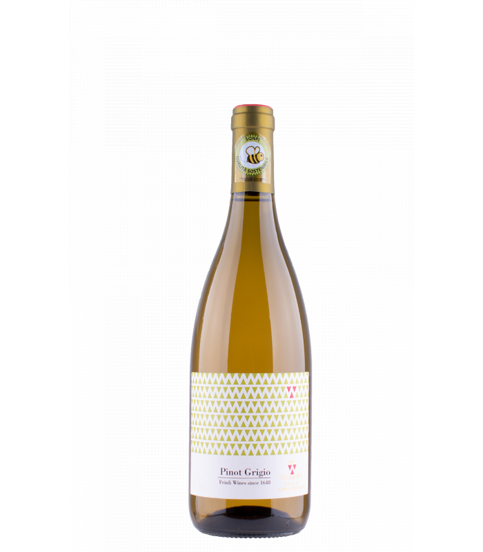 Villa Locatelli Pinot Grigio