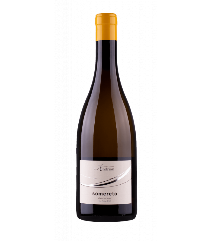 Chardonnay DOC Somereto 2019 Andrian