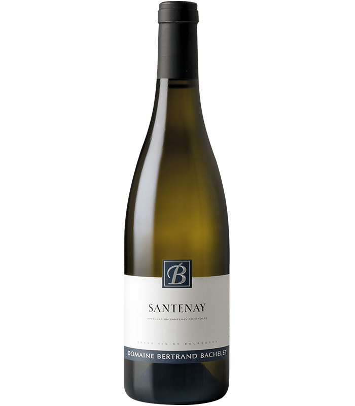 Santenay Blanc Bertrand Bachelet