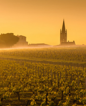 Château la Fleur Pourret