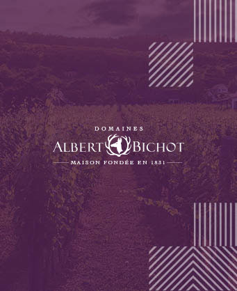 Albert Bishot