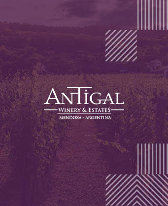 Antigal