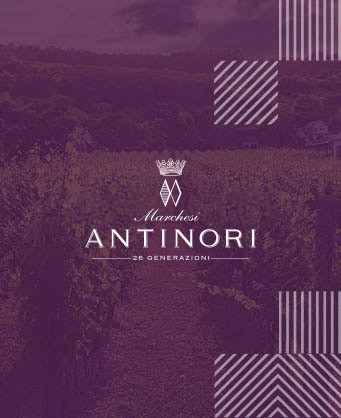 Antinori