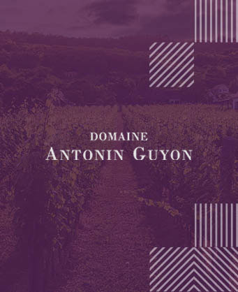 Domaine Antonin Guyon