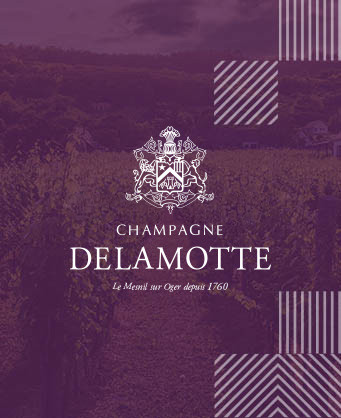 Delamotte