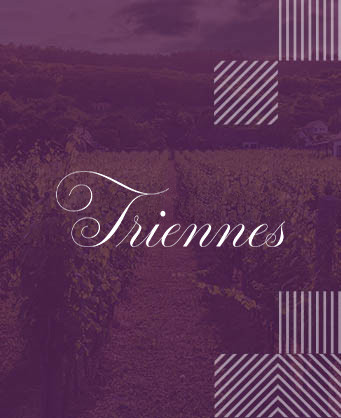 Domaine de Triennes