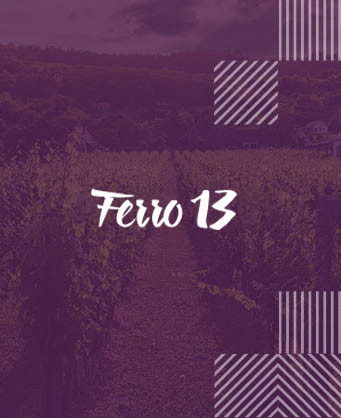 Ferro 13